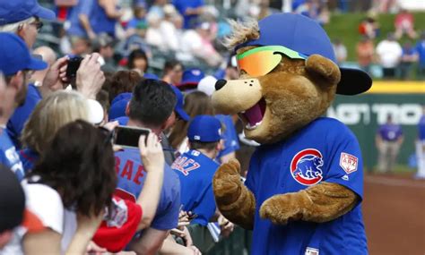 Reclaiming Masculinity: Empowering the Cubs Mascot's Manhood